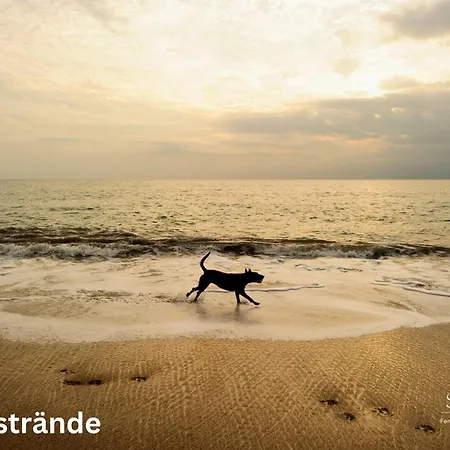 Wattkieker Dom wakacyjny Utersum